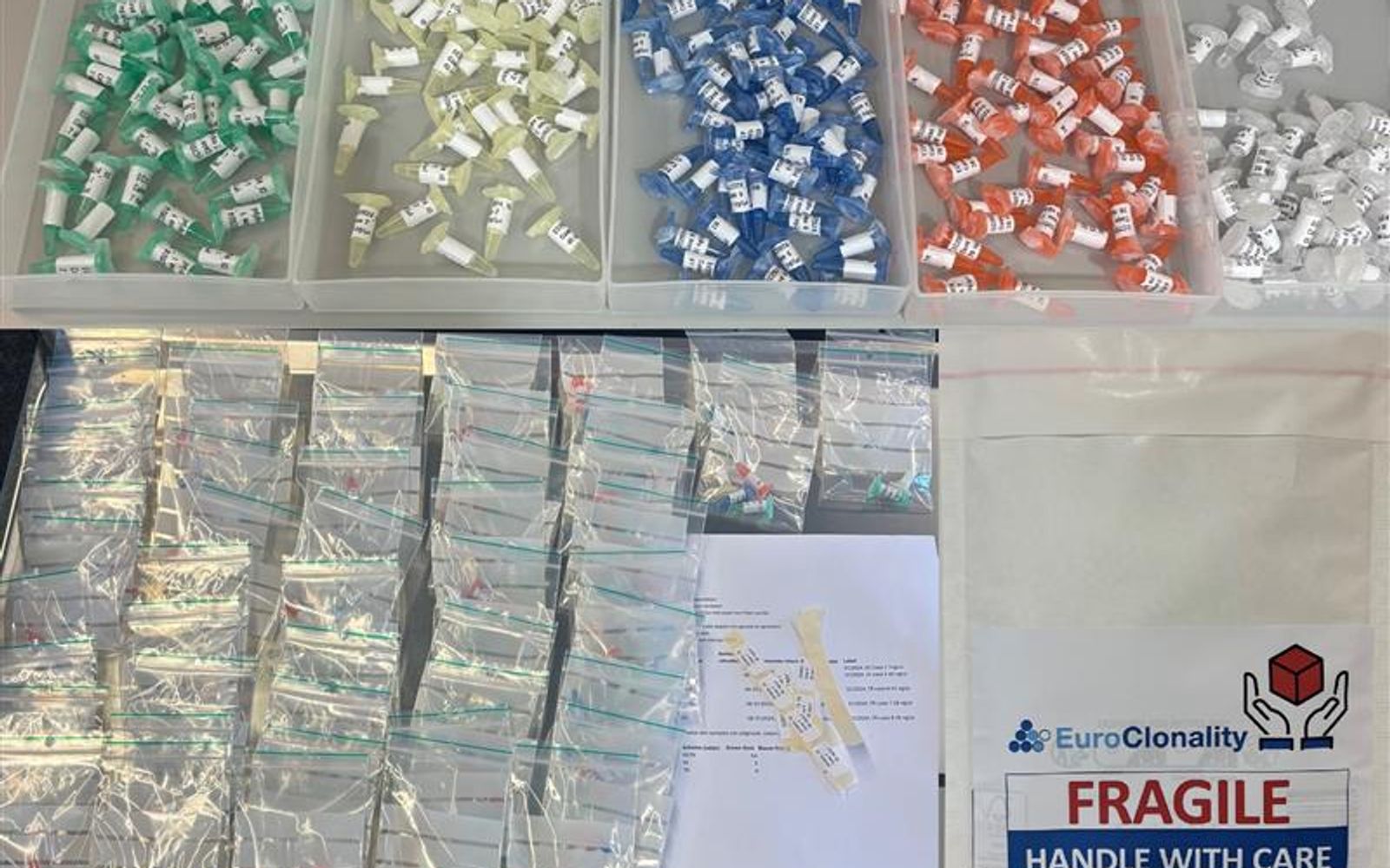 plastic bags filled with tubes with DNA samples